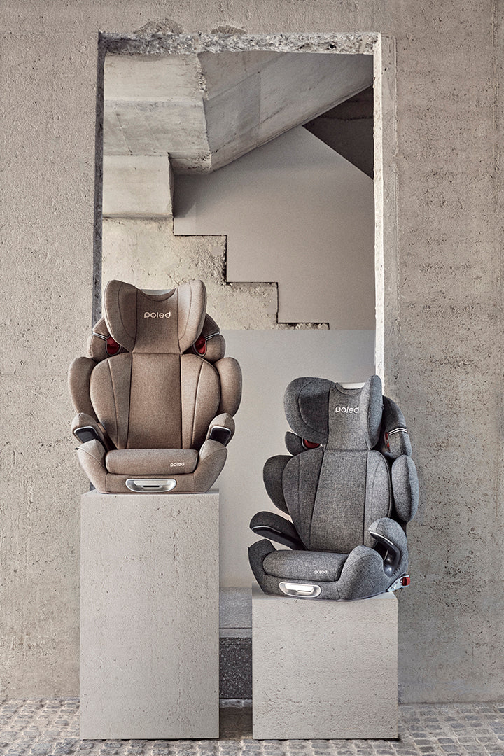 Poled Ball-Fix Pro Car Seat