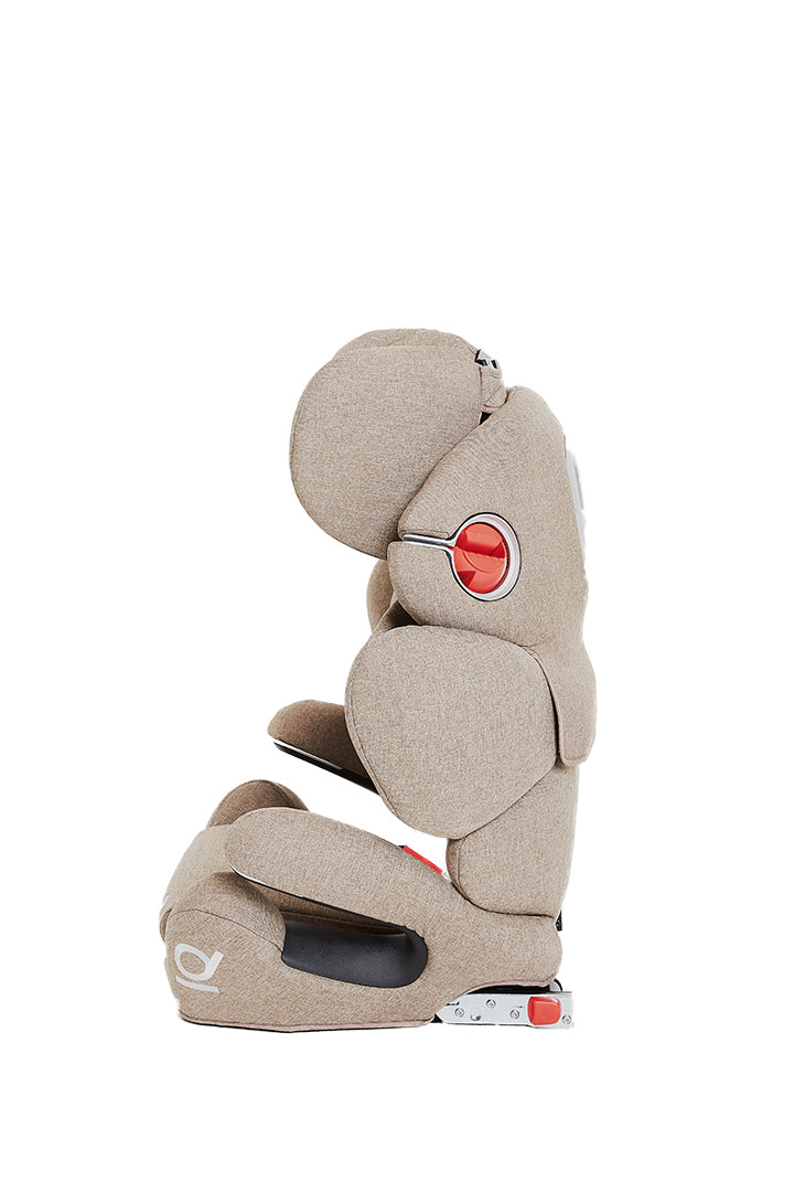 Poled Ball-Fix Pro Car Seat