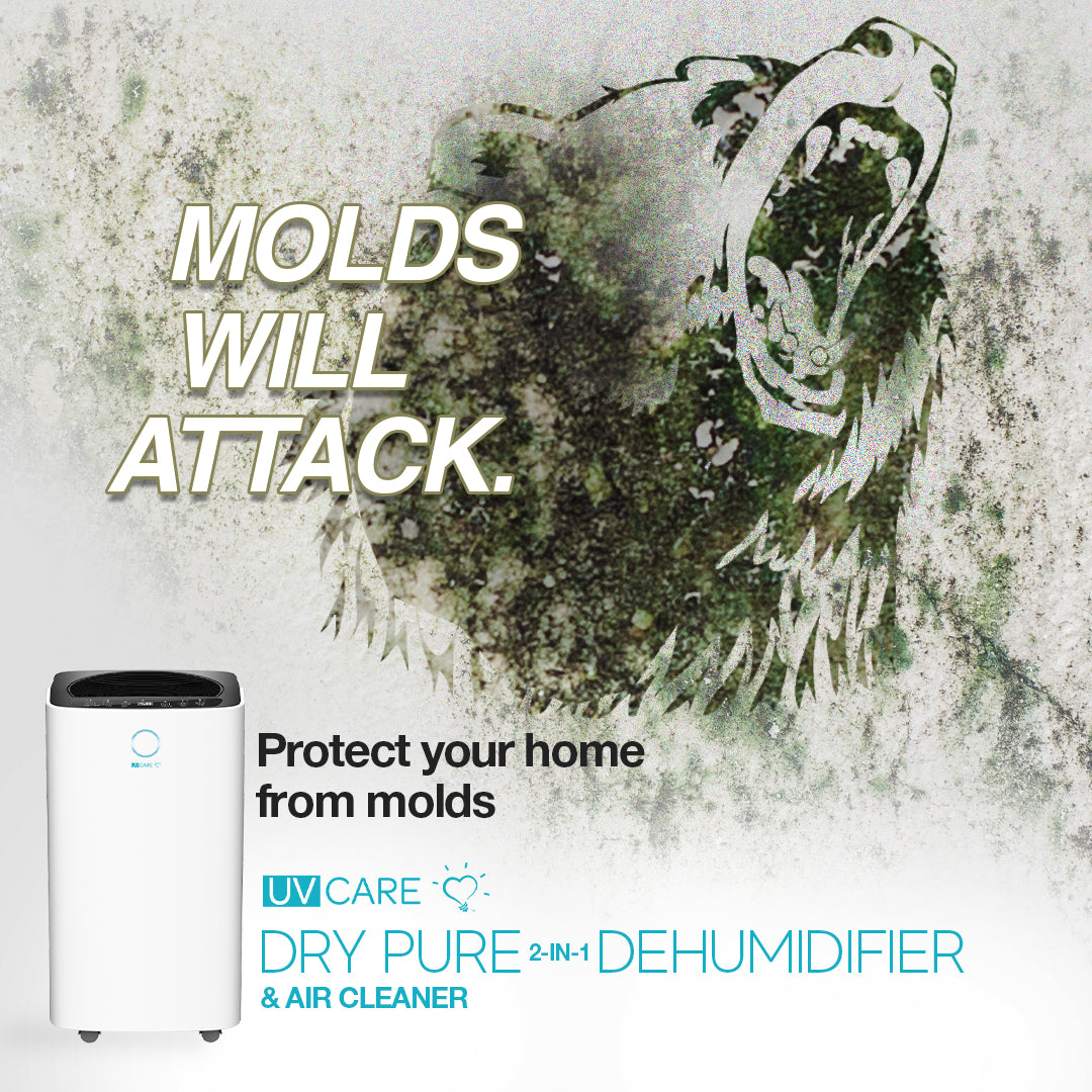 10% OFF ON PRE-ORDERS: UV Care Dry Pure 2-in-1 Dehumidifier & Air Cleaner: 12L