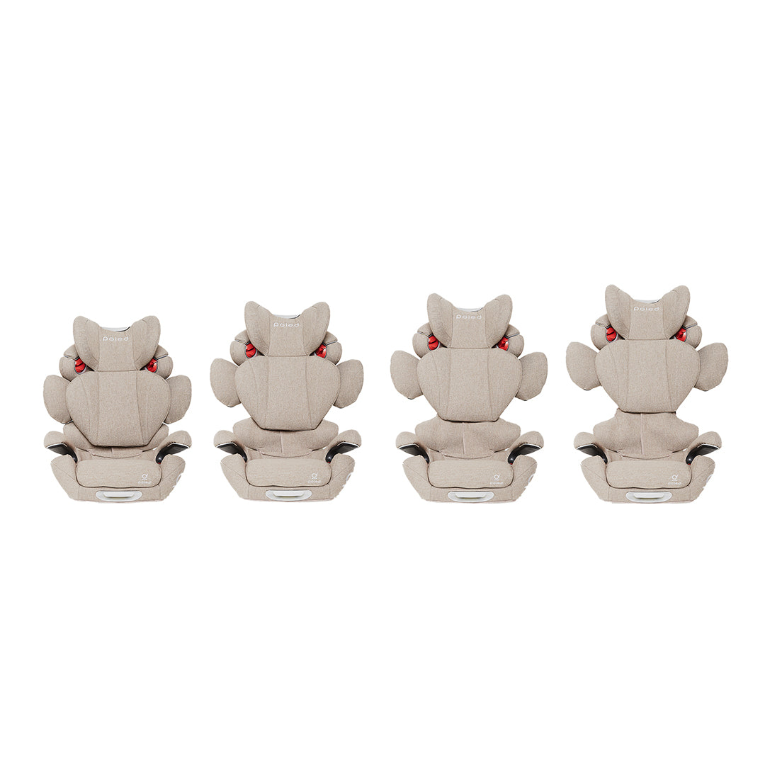 Poled Ball-Fix Pro Car Seat
