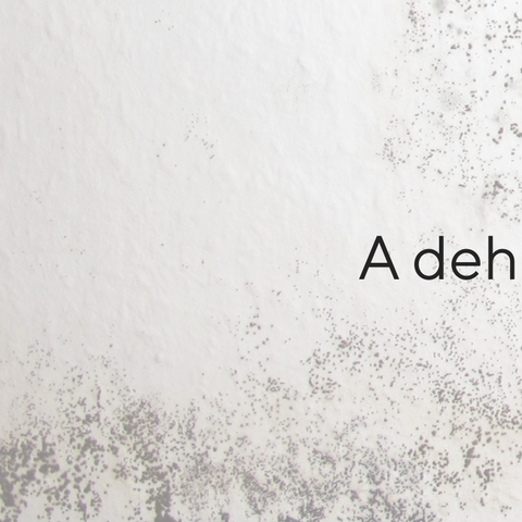 *Dehumidifier & Mold Prevention