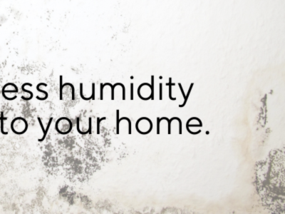 *Dehumidifier & Mold Prevention