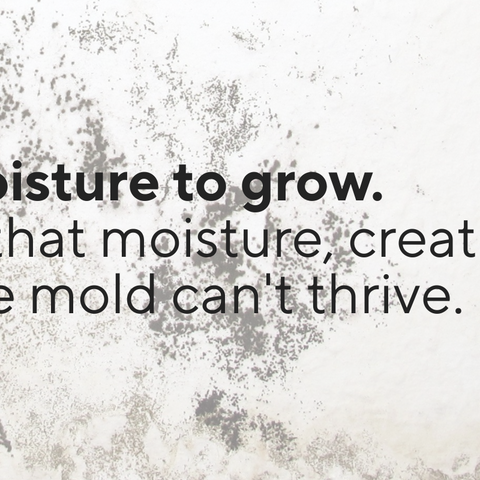 *Dehumidifier & Mold Prevention