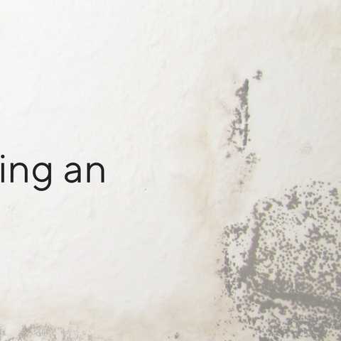 *Dehumidifier & Mold Prevention