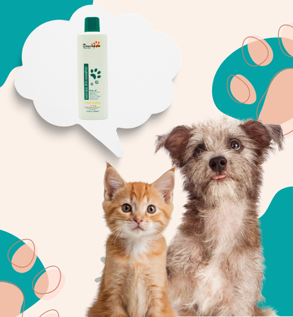 TouchPaw Natural: Oatmeal Soothing Shampoo (600ml)