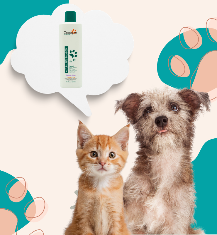 TouchPaw Natural: Tearless Puppy & Kitten Shampoo (600ml)