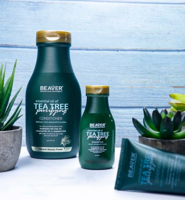BUY 1 TAKE 1: Beaver Beauty Tea Tree Oil Purifying Shampoo and Conditioner