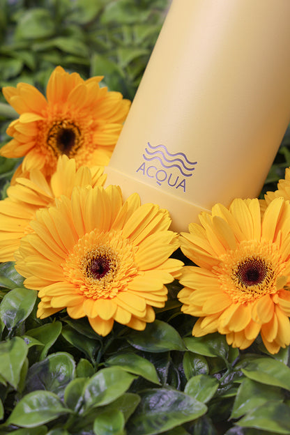 Acqua Earth Bottle (1L)