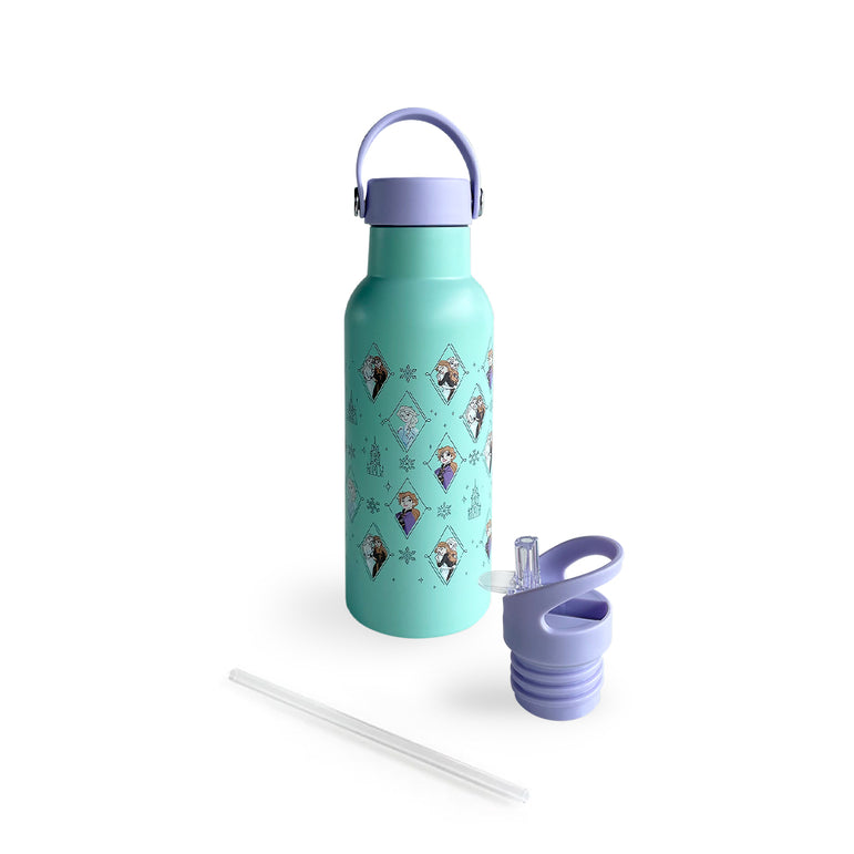 Zippies Lab Stainless Steel Insulated Water Bottle (483ml): Frozen Casual Charm