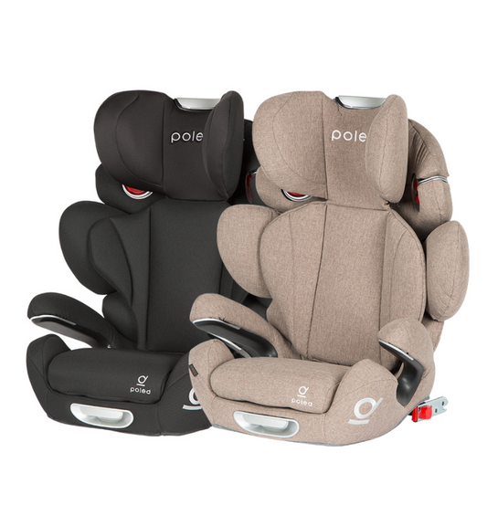 Poled Ball-Fix Pro Car Seat