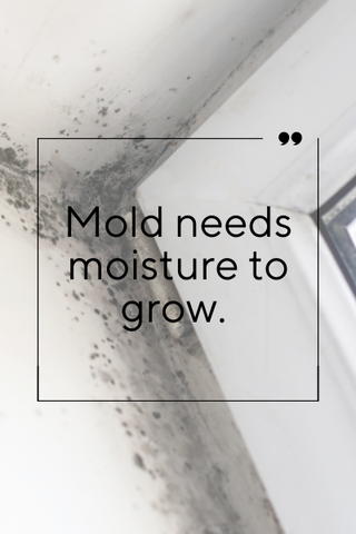 *Dehumidifier & Mold Prevention