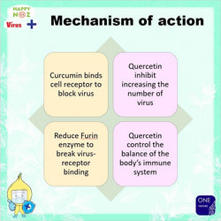 Happy Noz Organic Onion Sticker Virus +