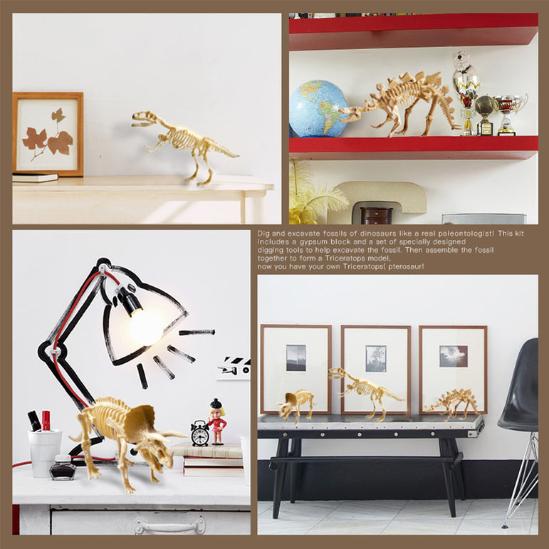 Joan Miro Fossils Excavation Kit: Pterosaur