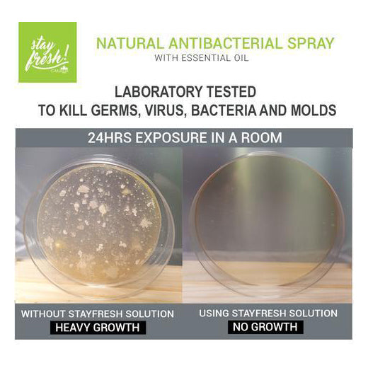 Stayfresh Canada Natural Antimicrobial Room Spray: Sparkling Honeydew Melon (1L Refill)
