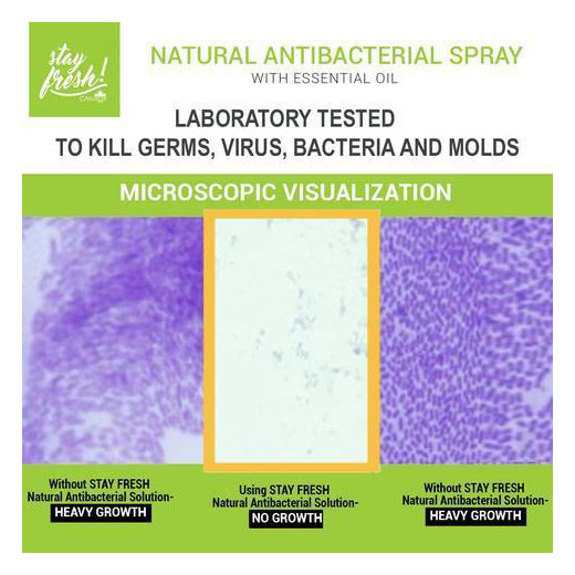 Stayfresh Canada Natural Antimicrobial Room Spray: Lemon Fresh (315ml)