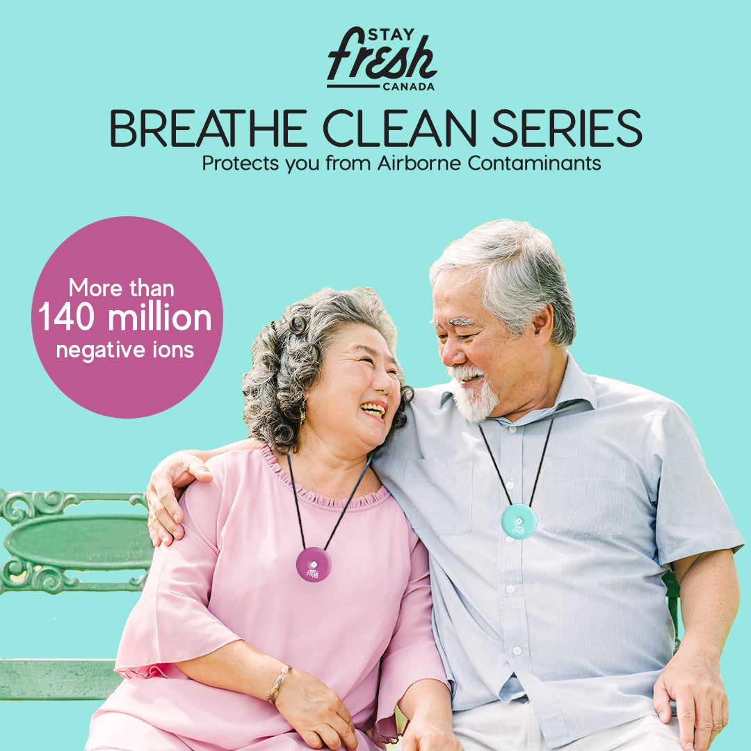 Stayfresh air deals purifier