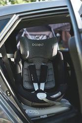 Poled All Age 360 Car Seat (Satin Silver)